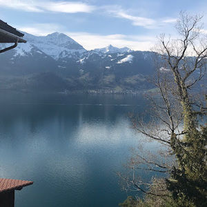 Meet your Posher, Dylan